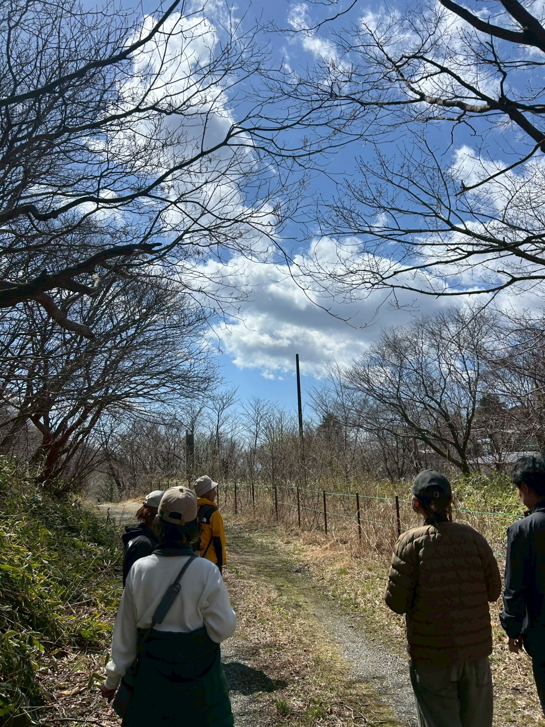 ウグイス発見に大興奮！那須高原バードウォッチングで深まる春の絆