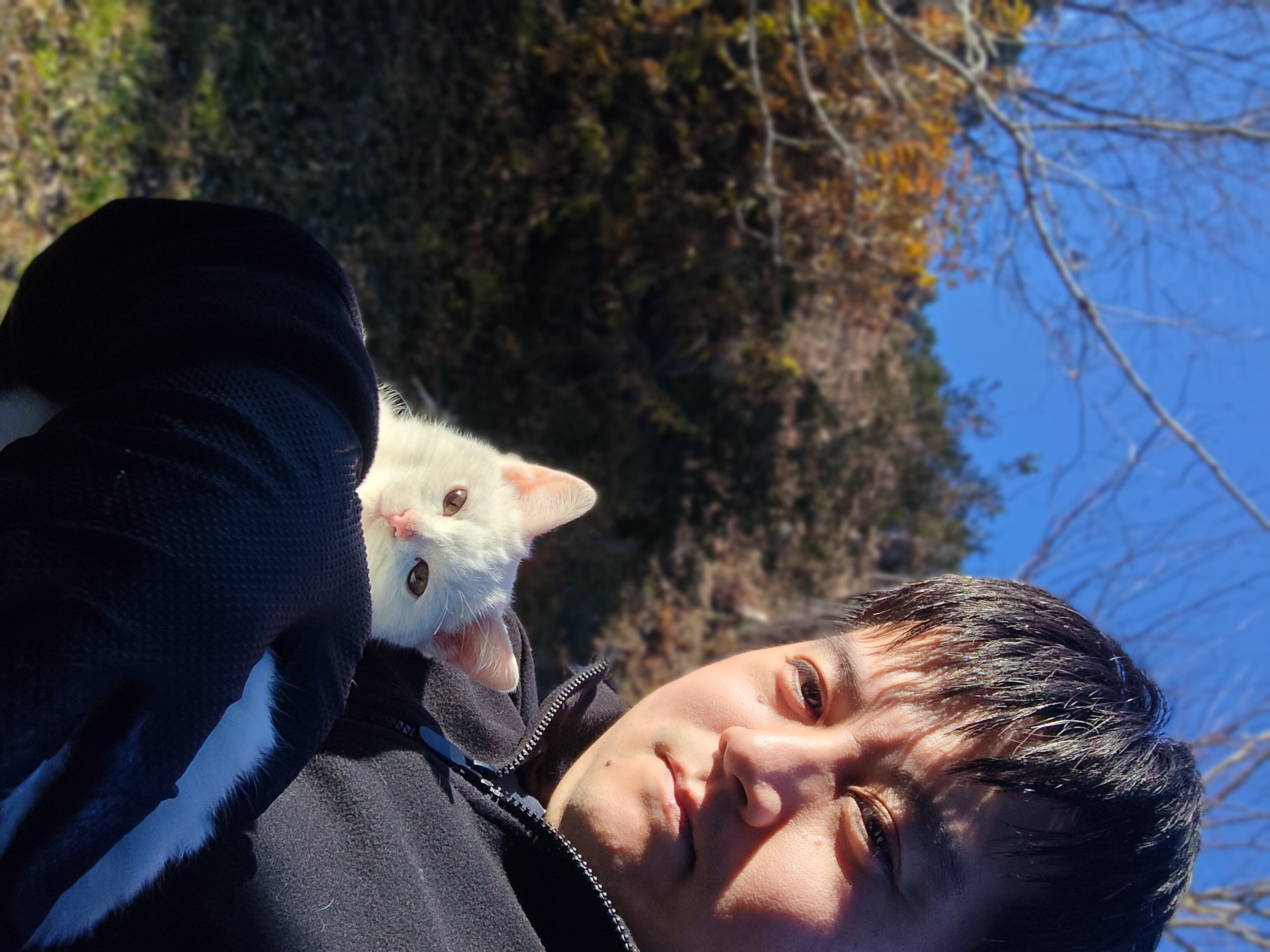 尾崎 真弥